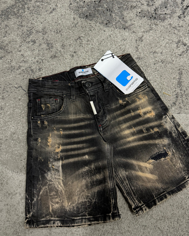 Bermuda Bambino Cianotic Ed4